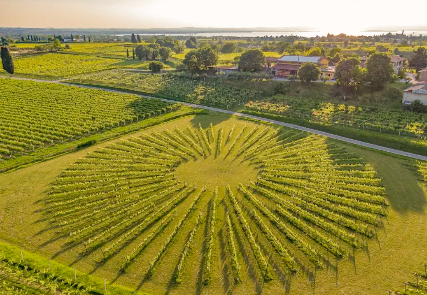 Bergamini vin - Veneto, Italiai
