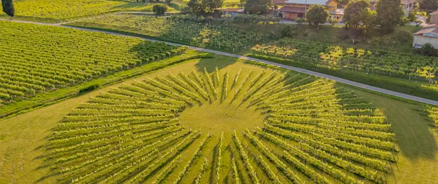 Bergamini vini Bergamini vin - Veneto, Italiai